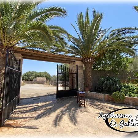 Agroturismo Es Gallicant Campos  Bagian luar foto