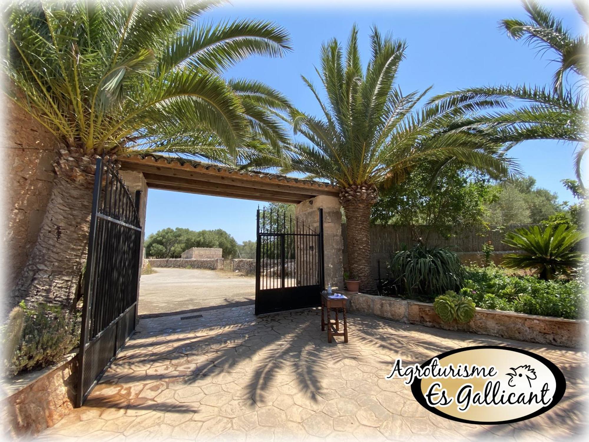 Agroturismo Es Gallicant Campos  Bagian luar foto