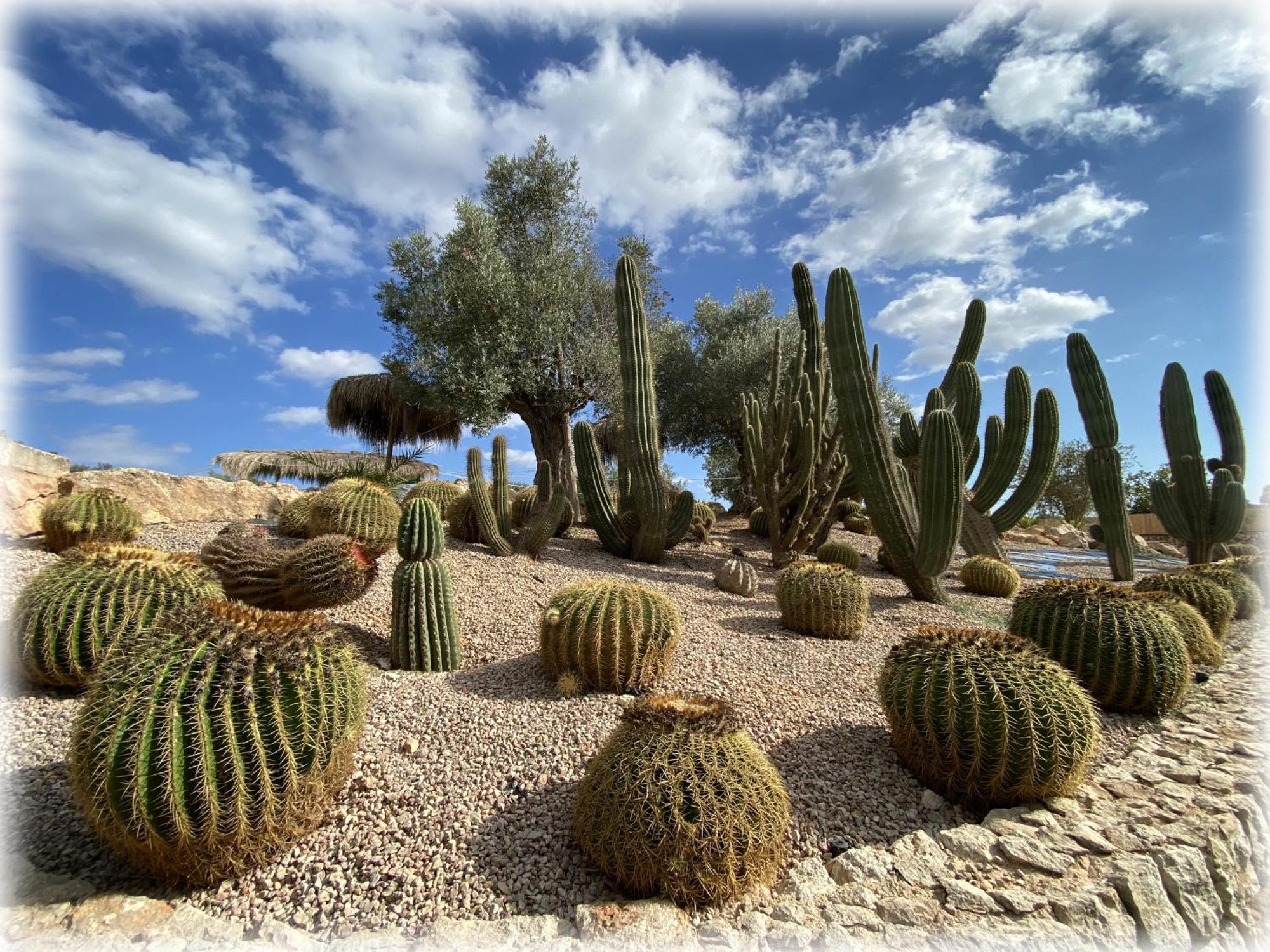 Agroturismo Es Gallicant Campos  Bagian luar foto